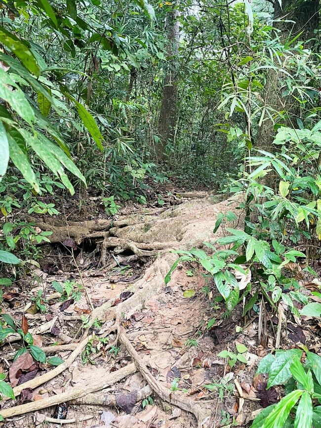 ドンドン道幅が狭くあり、下も見なければ！