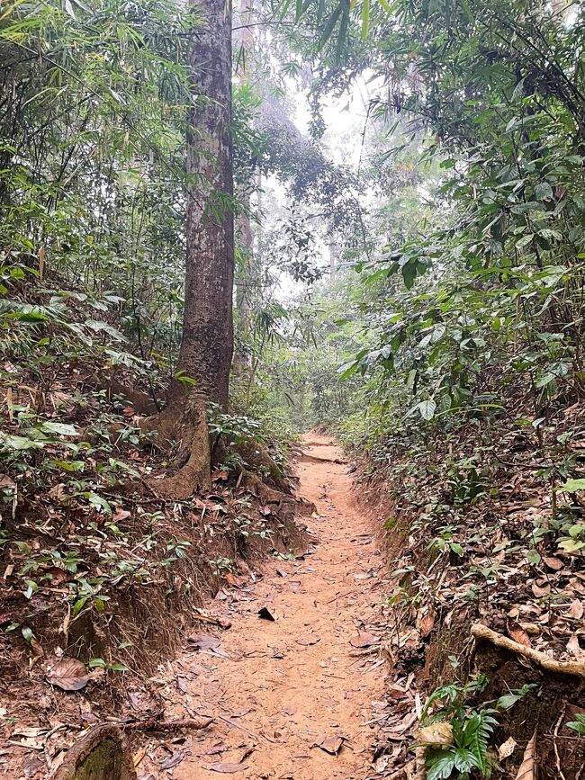カシア村を後にし、国立公園の入口へ戻ります。