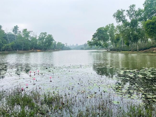 こちらがマダブプル湖。<br />お茶栽培のための貯水池として19世紀に造られた人造湖です。