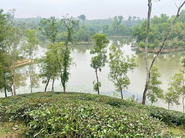 湖の周りは傾斜を利用した茶畑、茶畑、茶畑。<br />インド国境とも近いそうです。<br />