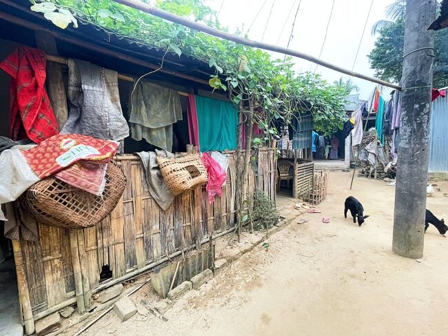 牛、犬、ヤギがバングラ三大動物。<br />その辺で放し飼いです。