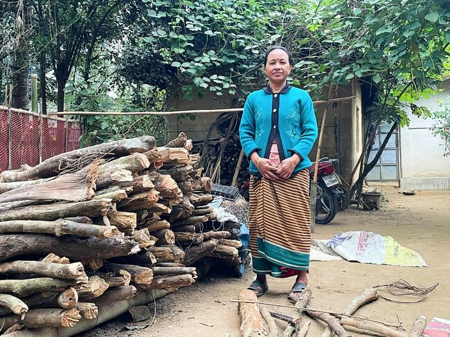 トリプラ村で最後に出合った奥様。<br />昔に行ったミャンマー人とそっくり。<br />額のビンディーがヒンドゥーを語っていますが。