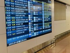 年末だからか、到着口には
人だかりができてました。
ここから乗継ぎ頑張らねば！！

ほんとの最終日、
10日目スタートです。