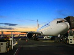福岡までもう一本飛行機に乗って
そこから電車を耐えて無事に帰宅。
わんこから忘れられてなくてよかった。笑
犬も一緒に行けたら良いのにな。

15年ぶりのハワイは最高でした。
絶対また二人で行きたいなーとも思うし
今度は両親も連れてってあげたい。
頑張って働こう。笑

そういえば今までヨーロッパからの
帰国の時はそのままスルーラゲージで
チェックインも不要だったと思うけど
羽田ではスーツケース一度拾って
もう一度チェックインが必要でした。
羽田はそれが基本なのかな。
