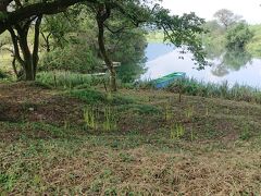 津谷川

花芽は伸びてるが
咲くのは来週かな？
堤は
全く花芽が伸びてないが
２週間後？？？