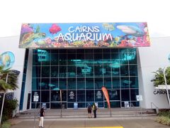 ９時のオープンに合わせて目的の水族館へ。
ケアンズやクイーンズランド州に特化した展示内容がオレ好みな水族館でした。
水族館の話は水族館ブログで。

https://aquarium-mistral.blog.ss-blog.jp/2024-02-03
