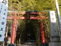 「来宮神社」です。