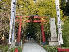 宿を後にして、歩いて来宮神社へ。