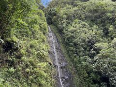 ■マノア滝 (Manoa Falls)

トレッキングコース入口から30分ほどでマノア滝へ到着。

訪れたのは乾季だったので、水量はあまりありませんが、高低差はあります。

ハワイの大自然とひんやりとした空気を感じて、リフレッシュになりました。
