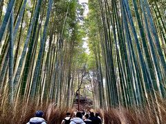 嵐山 竹林の小径