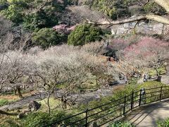 熱海梅園から、歩いて熱海を散策します。