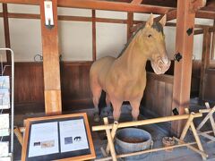 　朝食後は、いよいよ彦根城観光です。いろは松、二の丸佐和口多聞櫓の先には、馬屋がありました。