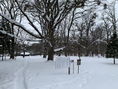 池のある公園です。