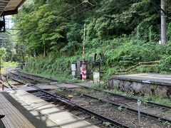 登山鉄道で箱根湯本へ向かいます。山の中を走るので窓からの景色も飽きません。