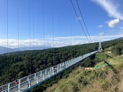 途中で三島スカイウォークに寄り道。