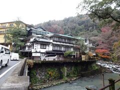 宿です。
10日ほど前に来たばかりですが、一の湯塔ノ沢本館の工事が始まるとのことで、ネットで購入したお得な金券が塔ノ沢本館ではもうすぐ利用できなくなるために予約しました。