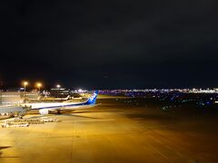 帰りの飛行機の時間まで空港内をブラブラしていると、展望デッキを見つけたので早速空港見学。