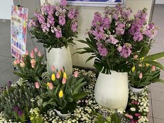 新神戸駅に到着しました。
ここでレンタカーを借ります。春らしいお花がお出迎え。

以前同じ3人連れで、淡路島へ行ったことがありますが、全員いまひとつ記憶薄く・・・(^^;