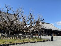 娘にお西さんの画像を送ったら、「西本願寺だ」とパーフェクトな解答をしてきました。
さすが！