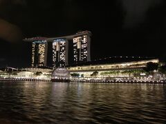 もう一つのシンガポールの象徴ともいえる、マリーナ・ベイ・サンズの姿も見ることができます。
