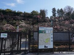 大田区立 池上梅園