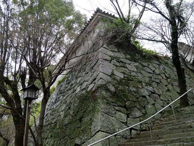反対側の高い石垣。