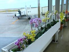 那覇空港に初めて着きました。