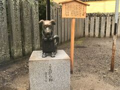 こんぴらさんの狛犬「ゴン」です。
こんぴらさんの公式の境内案内図も、是非ご覧ください。キャラクターが高速で神社の前を通り過ぎて行ったりと面白いですよ。
こんぴらさん（公式境内案内図）https://www.konpira.or.jp/articles/20210816_guide-map/guide-map_v08.html
〈こんぴらさんの由緒・歴史について〉
歴史・・・庶民が旅行を禁じられていた江戸時代においても、神仏への参拝は許されていました。とりわけ伊勢神宮への参拝の旅は「お伊勢参り」と呼ばれ、庶民にとって一生に一度の憧れ。そんなお伊勢参りと並び称されたのが、「丸金か京六か」と言われた讃岐の金毘羅大権現（今の金刀比羅宮）と京都六条の東西本願寺で、これらの寺社への参拝の旅が人生の一大イベントとして大変人気があったようです。

また、当人に代わって旅慣れた人が代理で参拝に行くこともありました。金毘羅大権現への代参で有名なのが、清水次郎長（山本長五郎）の代わりに参拝し、預かった刀を奉納したと伝えられる森の石松です。

なかには、飼い主の代わりに代参する犬も現れ、「こんぴら狗（いぬ）」と呼ばれていました。こんぴら狗は飼い主を記した木札、初穂料、道中の食費などを入れた袋を首から下げて、旅人から旅人へ連れられ、街道筋の人々に世話されながら、立派に務めを果たしたようです。

由緒・・・金刀比羅宮の主たる御祭神は、大物主神（おおものぬしのかみ）。航海の安全や豊漁祈願、五穀豊穣、商売繁昌、病気平癒などに御利益のある神様として、古くから全国の人々のあつい信仰を集めてきました。また、平安時代に讃岐国へ流され、この地で崩御された崇徳天皇を合祀し、歴代皇室から諸国の大名、一般庶民に至るまで広く信仰されています。とりわけ金刀比羅宮のある象頭山（ぞうずさん）は、古来より瀬戸内海航路の海の目印とされてきたこともあり、航海の安全を担う「海の神様」として今も親しまれています。
・・・香川県観光協会公式サイト「うどん県旅ネット」より。
https://www.my-kagawa.jp/konpira/feature/kotohiragu/about