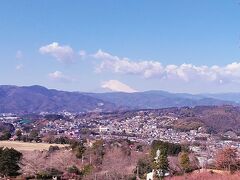 中央に富士山が見えます