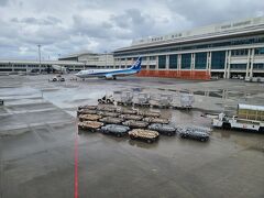 早めのドアクローズや順調なフライトもあって、定刻より少し早く那覇空港に到着。那覇は羽田と違って雨交じりの曇り空でした。