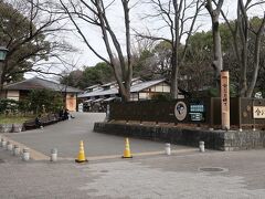 金シャチ横丁にやってきました。