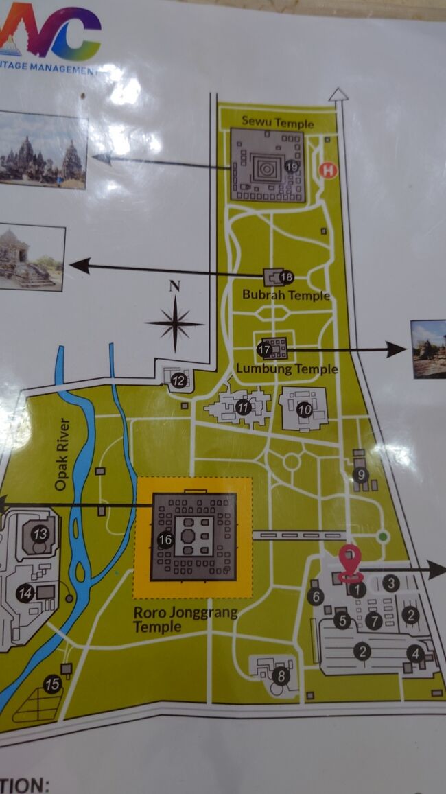 月曜日は、イエローラインの中に入れない。