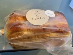 しまのねこ