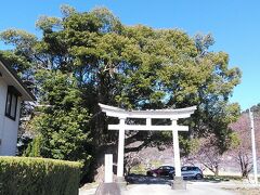 来宮神社