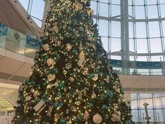 今年も羽田のクリスマスツリーを横目に
サテライトなので早めにセキュリティゲートを
クリアせねばならぬ、最後のミッションをこなして
帰宅しました
さて、来年はどこに行こうか...