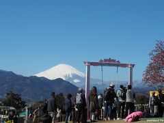 松田山　西平畑公園のスカイスイング

富士山に向かって設置されているブランコ
人気があり人が並んでいました。