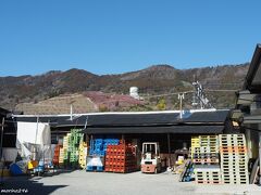 松田町　中澤酒造から見上げる松田山

桜まつりには毎回立ち寄らせてもらう「松美酉」の名前で知られる酒蔵
コロナ前は、美味しい甘酒の振る舞いがありましたが、
残念ながら今年もないようです。

