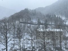 Day2　おはようございます。

今日は思いっきり雪ですね。