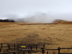 阿蘇山を上りきると運よく霧がサッと流れ草千里ケ浜の草原を見渡せました

