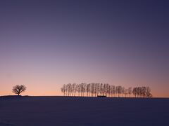 そして、さらに車を走らせ、この日最後のスポット、セブンスターの木です。ここもギリギリ何とかマジックアワーに間に合ったかな。シラカバ並木の真ん中に見えるでしょうか、まだ、この時間に観光バスが走っていました。