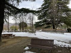 あがたの森公園

雪のため寛ぐ人はいない

下校時間の高校生がたくさんいた