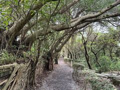 コチラ
羅東林業文化園区へきました
