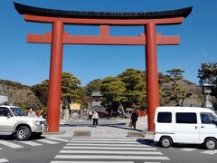 そして鶴岡八幡宮です。本当に40年ぶりくらいに来ましたね。