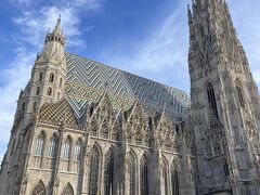 ウイーンの中心に位置し、街のシンボルともいうべき建物「シュテファンスドーム（Stephansdom）」。
１２～13世紀にかけて建てられたゴシック様式の大聖堂で、ハプスブルク家はじめウィーンに名を残す方々の埋葬場所でもあります。
高さ136.4mの南塔には階段で登ることが出来、ウィーンの街を一望できます。
観光の中心地でもあり、たくさんの人で賑わっています。