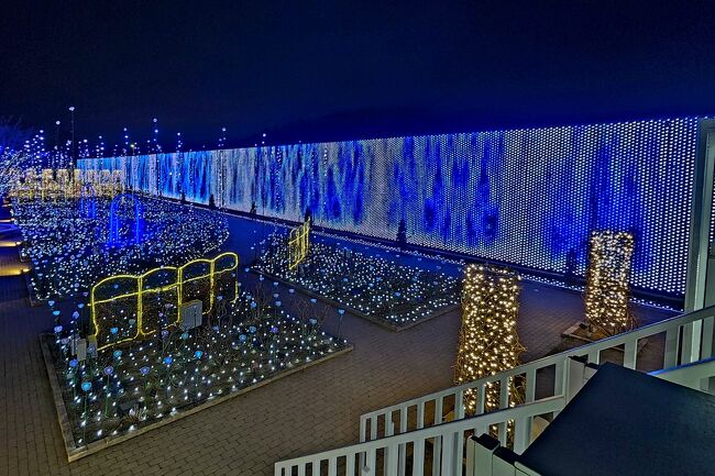 『光のバラ園』背景のパネル映像が素晴らしかったです！