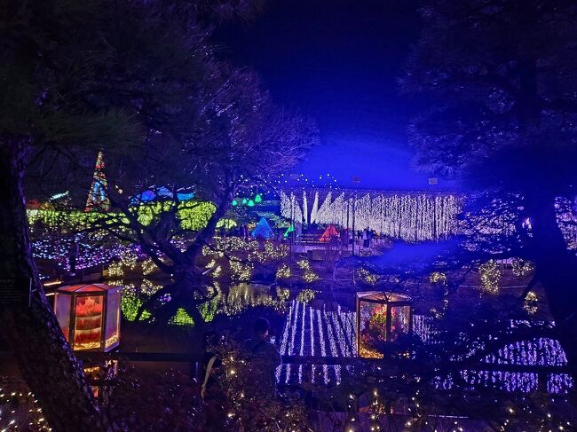 『スターライトマジック』池に壁面のイルミネーションが映り冬の花のライトアップと水辺に逆さまに映り込んだ『光のふじのはな物語』が美しいです！