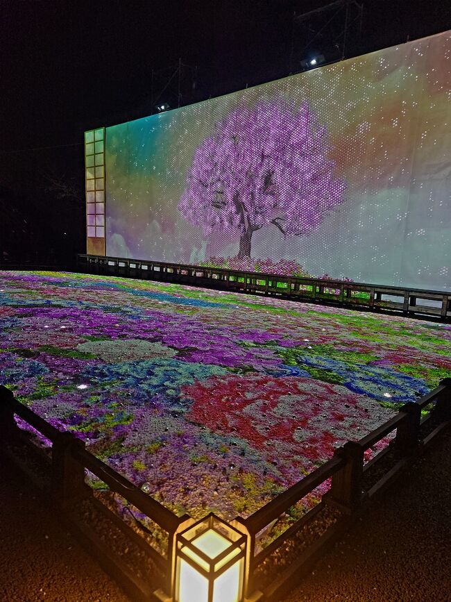 『日本の四季　こころの故郷』春夏秋冬の美しさに心が癒されるプロジェクションマッピングです！次の回を鑑賞台で最初から見ました。