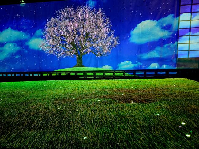 『日本の四季　こころの故郷』開花して来ました。