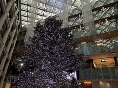 少し早めに来たのはKITTE６階にある屋上庭園から東京駅の赤レンガ駅舎をＭちゃんに見せたかったから。
だけど１０時には空いておらず(;´Д｀)ﾁｰﾝ
クリスマスツリーを見て退散。