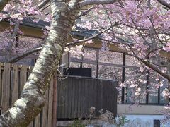 踊り子温泉会館